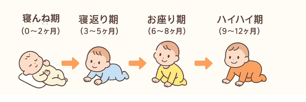 【月齢ステップ対応】成長に合わせて“遊び方が変わる”おもちゃを